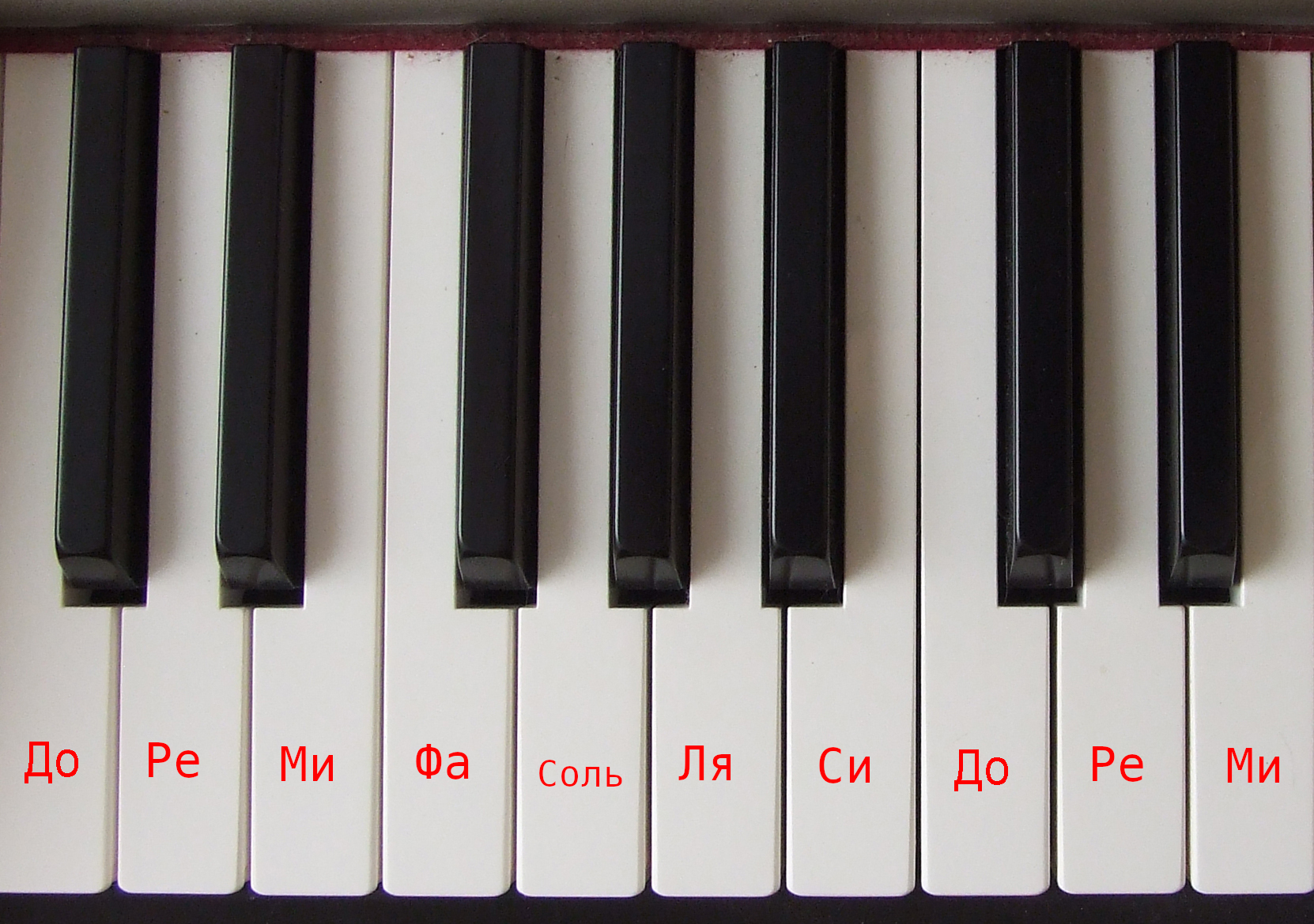 Клавиатура фортеписано с подписанными нотами от до первой октавы до ми второй