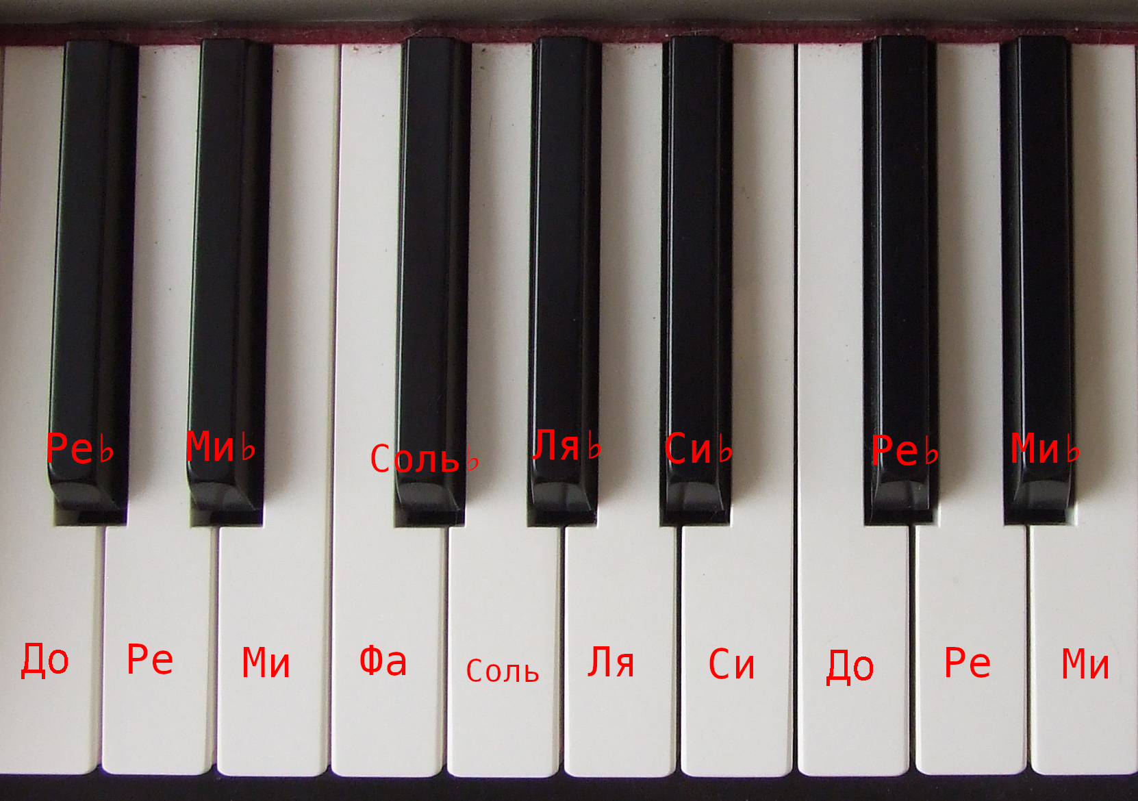 Клавиатура фортеписано с подписанными нотами от до первой октавы до ми второй с обозначением бемолей