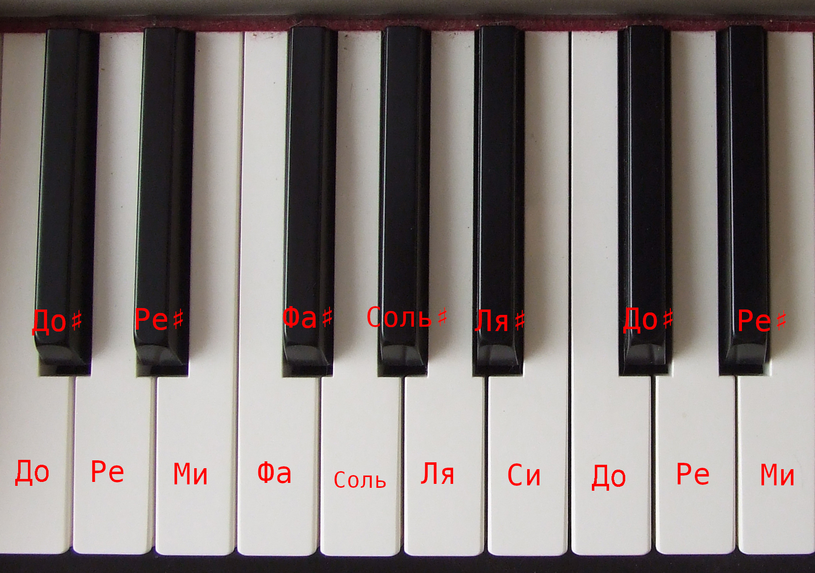 Клавиатура фортеписано с подписанными нотами от до первой октавы до ми второй с обозначением диезов